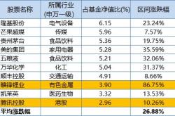 新和成股票可以长期持有吗