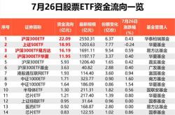 主力榜主力资金净流入万元，居股票型基金第一梯队