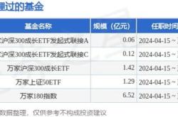 瑞达先进制造混合型发起式基金经理变动：杜宇不再担任该基金基金经理