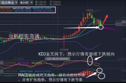 张尧浠：金价反弹未遂再迎美日内走势高空对待