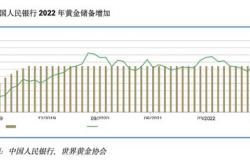 黄金牛市可持续吗？金饰需求降，央行购金科技用金大涨