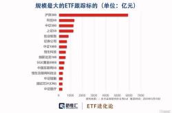 融资榜中证基金融资净买入万元，居可比基金前