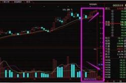 股票行情快报：深粮（）月日游资资金净卖出万元