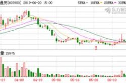 黄金股稳步攀升，莱绅通灵华钰矿业相继封板