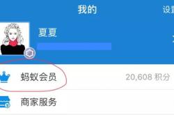 支付宝理财怎么买才能赚到钱