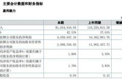 财报透视｜茂硕电源上半年营收净利双降！货币资金腰斩，股价年内跌超四成！