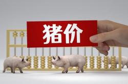 猪肉价格持续上涨原因