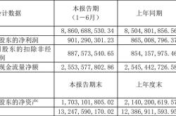 重庆啤酒概况