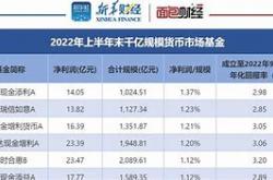 工银全球精选基金分析报告