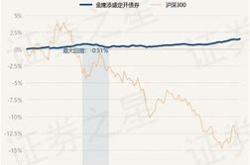 宏利市值基金净值查询