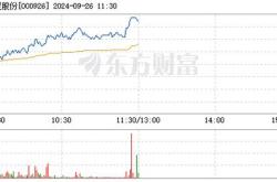 福星股份主营业务