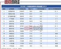 上半年新能源车产销量