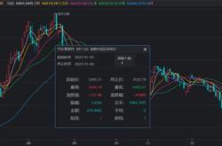 新焦点科技有限公司