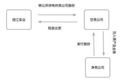 老干妈借壳上市