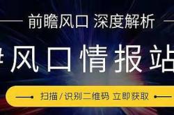 南风股份股票分析报告