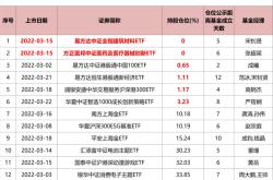 国家集成基金持仓分析与建议