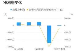 股票新股申购什么意思