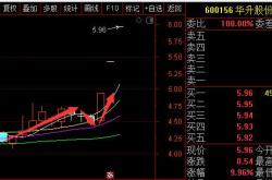 三毛股份股票代码