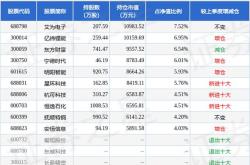 a股盘子最大股票排名