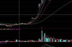 股票投资的基本面分析实验报告