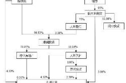 新大洲股票a股吧