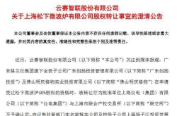 v观财报|控股股东关联方非经营性占资逾17亿,st中利收函:内控健全有效