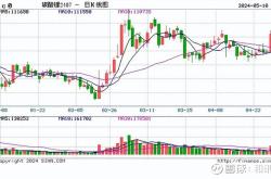 期货开盘:纯碱涨超5%,沪镍涨超3%,锰硅,硅铁涨超2%,集运指数(欧线)跌