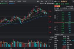 千亿负债压顶 横空出世的 中国神材 能否自救