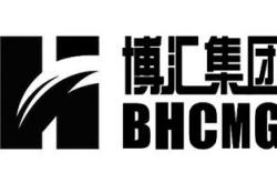 博汇股份生产装置停产事件深度解析影响、原因与未来展望