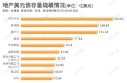 碧桂园美元债价格上涨市场信心与经济前景的微妙平衡