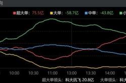 沪科（）月日主力资金净卖出万元