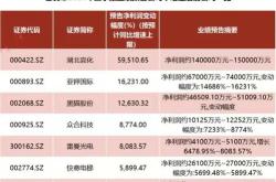 中报窗口期来临，多机构提示关注业绩超预期半导体公司，先觉资金借道入场