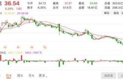 天弘基金深入佳电股份，机构调研揭示行业新动向