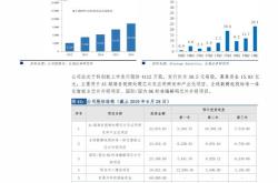 今日收评两只沙特涨停，信创消费电子等涨逾%