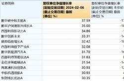 新兴成长基金净值查询260108