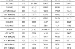人民币市场汇价（月日）