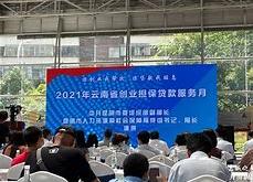 云南省在全国率先实现创业担保贷款线上全流程一站式办理