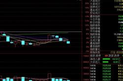 只股筹码大换手（月日）