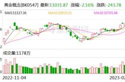 神农集团获北向资金买入万元，累计持股万股