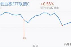 创业板指数型基金有哪些