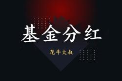 创金合信泰享个月基金分红工作汇报策略