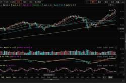 鼎龙科技（）月日主力资金净买入万元