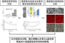 星环科技获北向资金卖出万元，累计持股万股