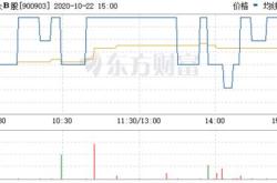 股票行情快报：大众Ｂ股（）月日主力资金净卖出元