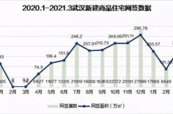 开业首日销售额破亿武汉现象级首秀惊艳华中市场