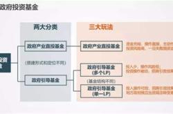 政府扶持基金