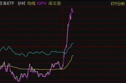 上海自贸区概念股午后异动，申达股份直线拉升涨停