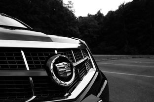 旅行者汽车价格SUV，性价比之选还是豪华体验？