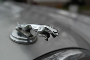 汽车评测视频素材库，自媒体时代的宝藏