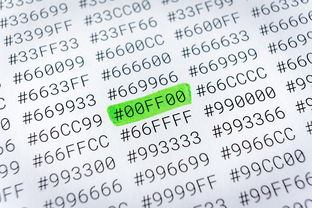 驾车出行必备清单，安全与舒适并重